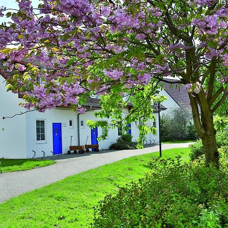 Feriendorf Rerik Kültér fotó