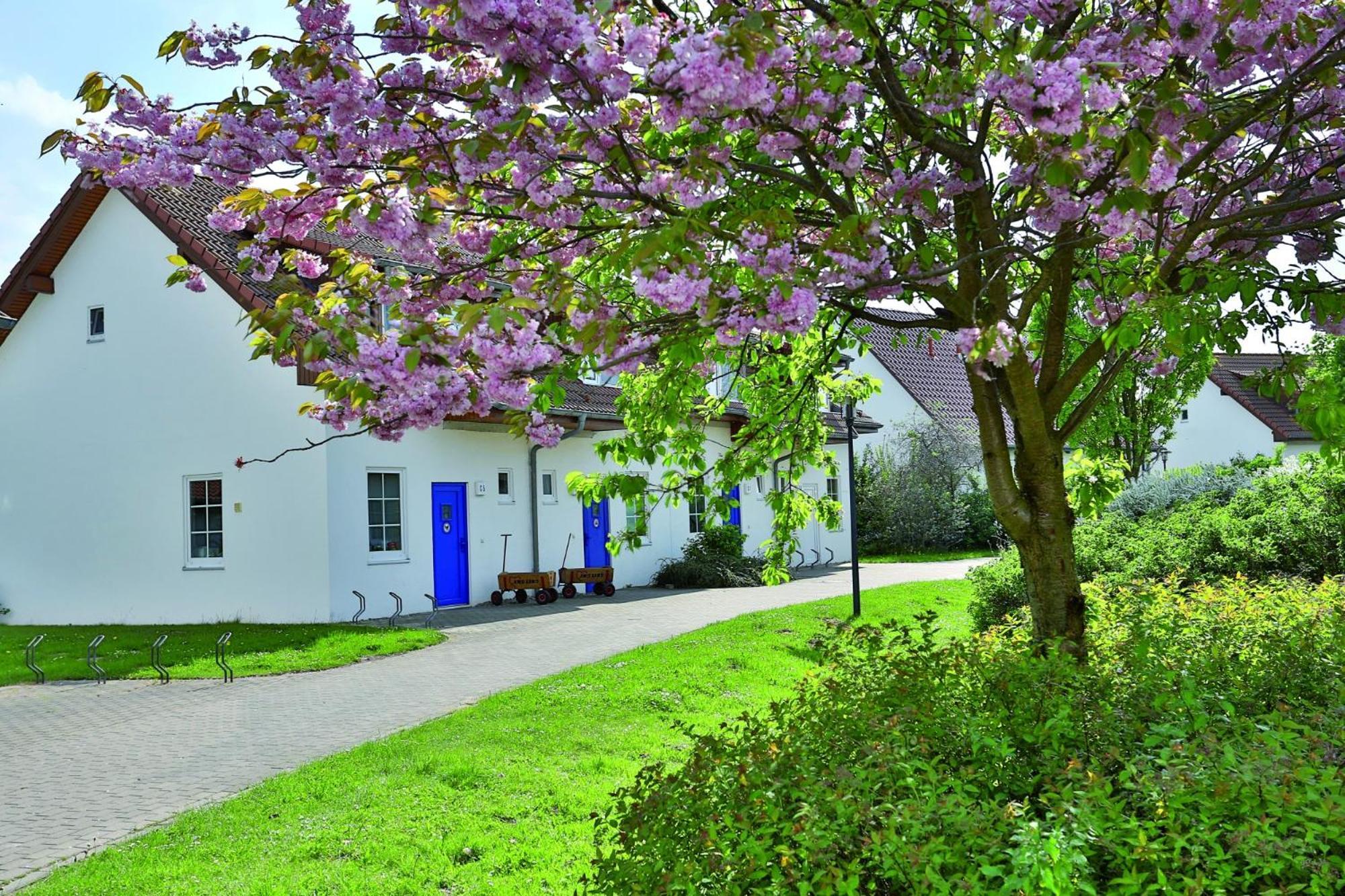 Feriendorf Rerik Kültér fotó